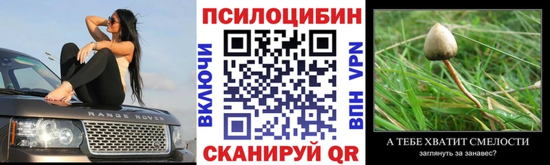 где продают Арзамас Галлюциногенные грибы мицелий